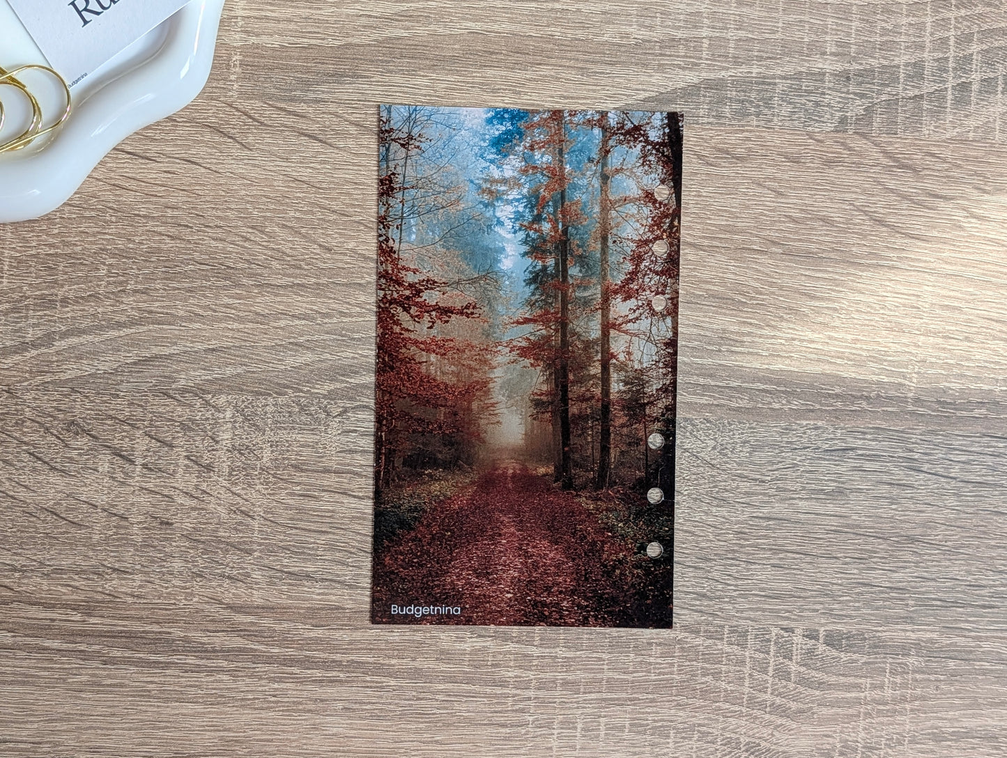 Deckblatt Wald