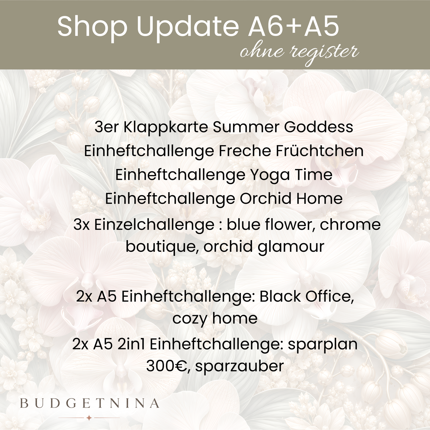 Shop Update A6 + A5 OHNE Register