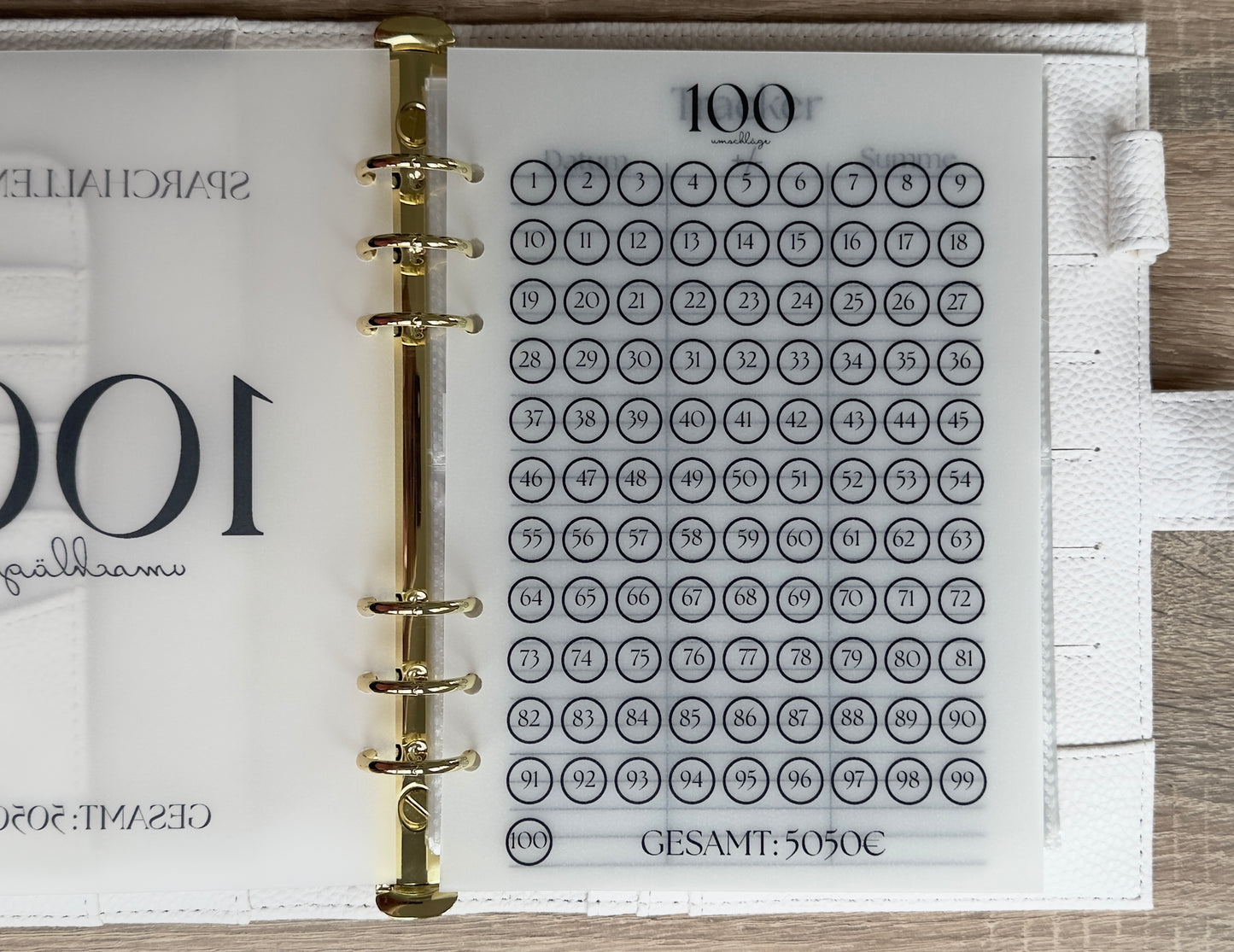 100 Umschläge Sparchallenge