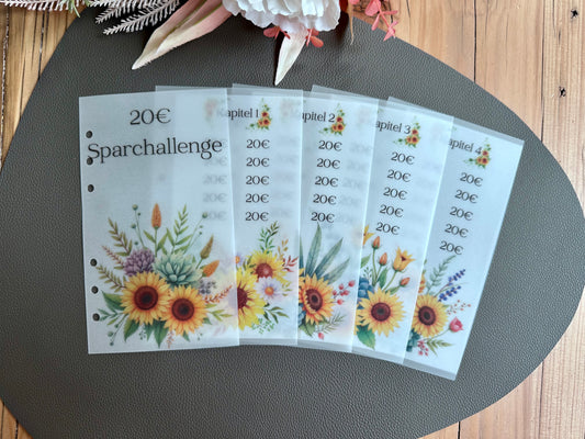 20€ Sparchallenge A6 Budget Binder Spar-Challenge 20€ Budgeting Binder A6