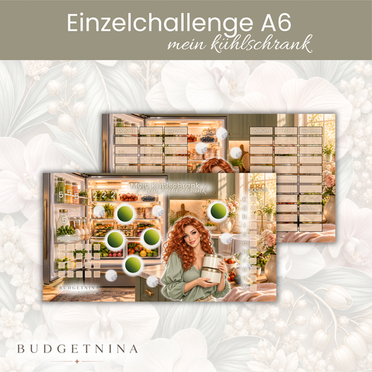 Mein Kühlschrank -  A6 Einzelchallenge