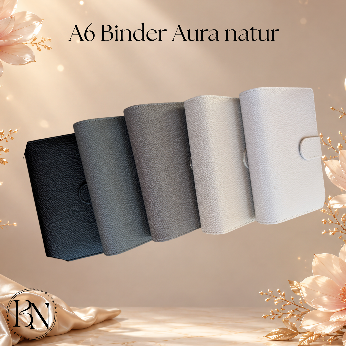 Budget Binder Aura Natur