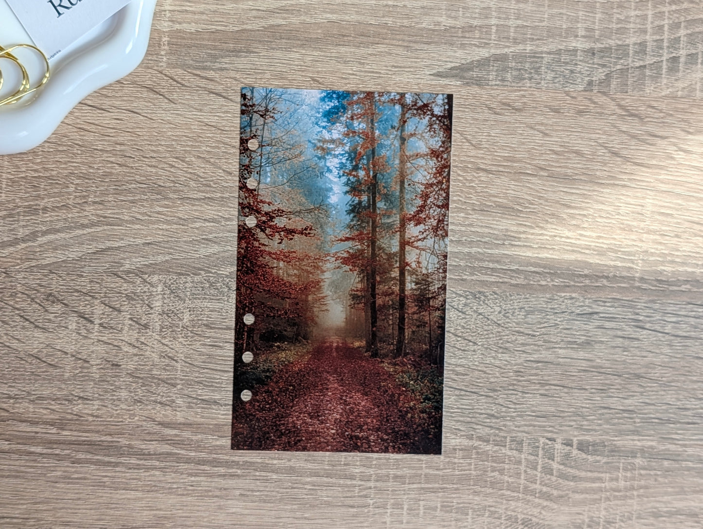 Deckblatt Wald