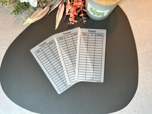 Budget Tracker A6 Sets