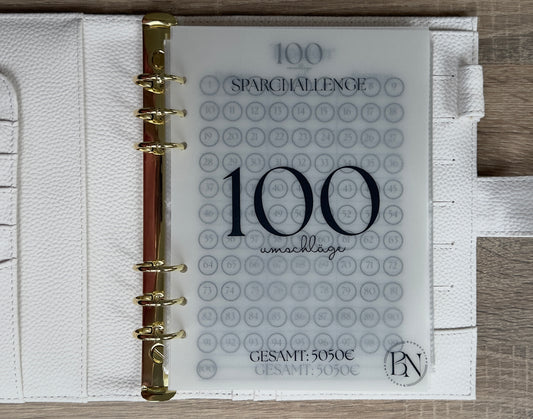 100 Umschläge Sparchallenge