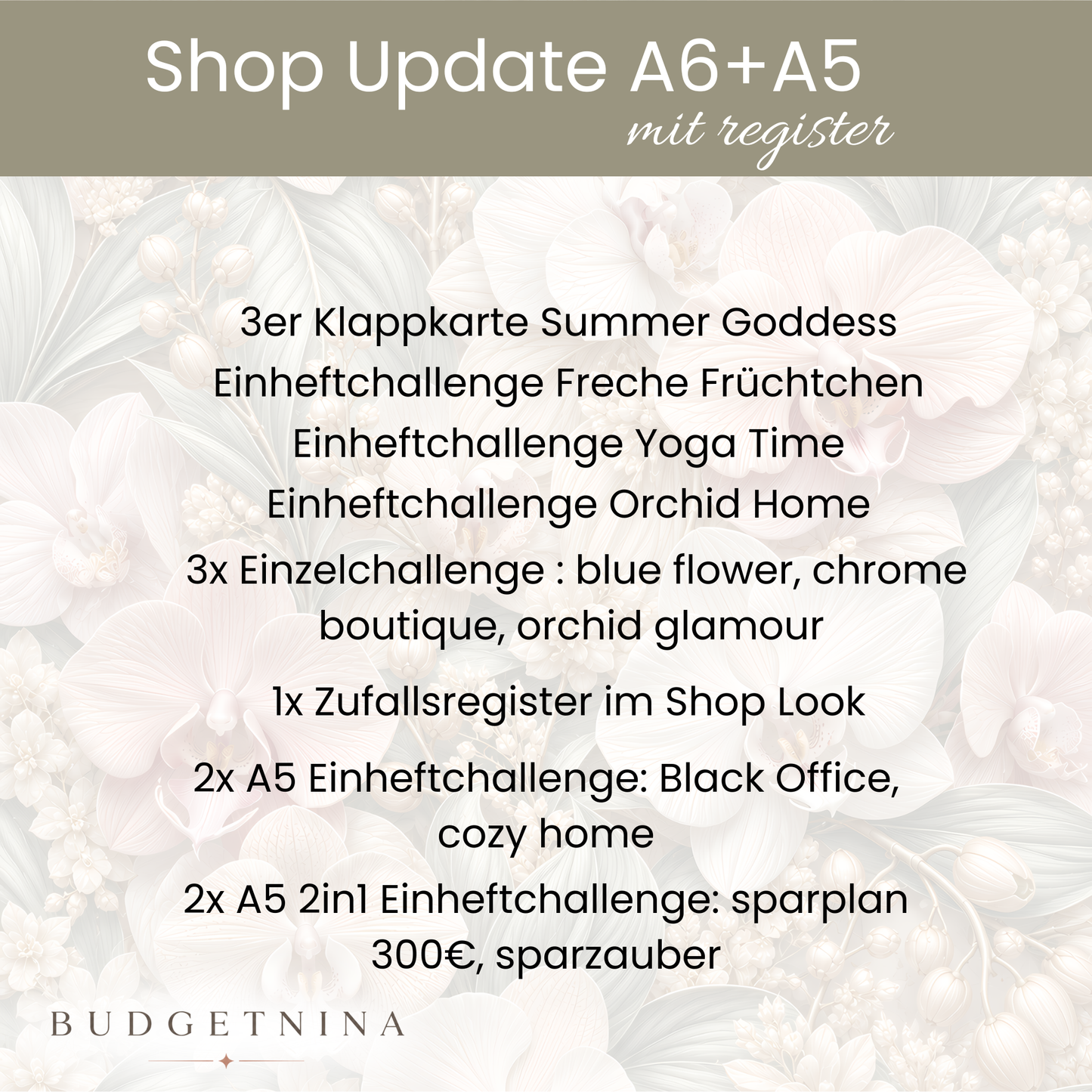 Shop Update A6 + A5 MIT Register