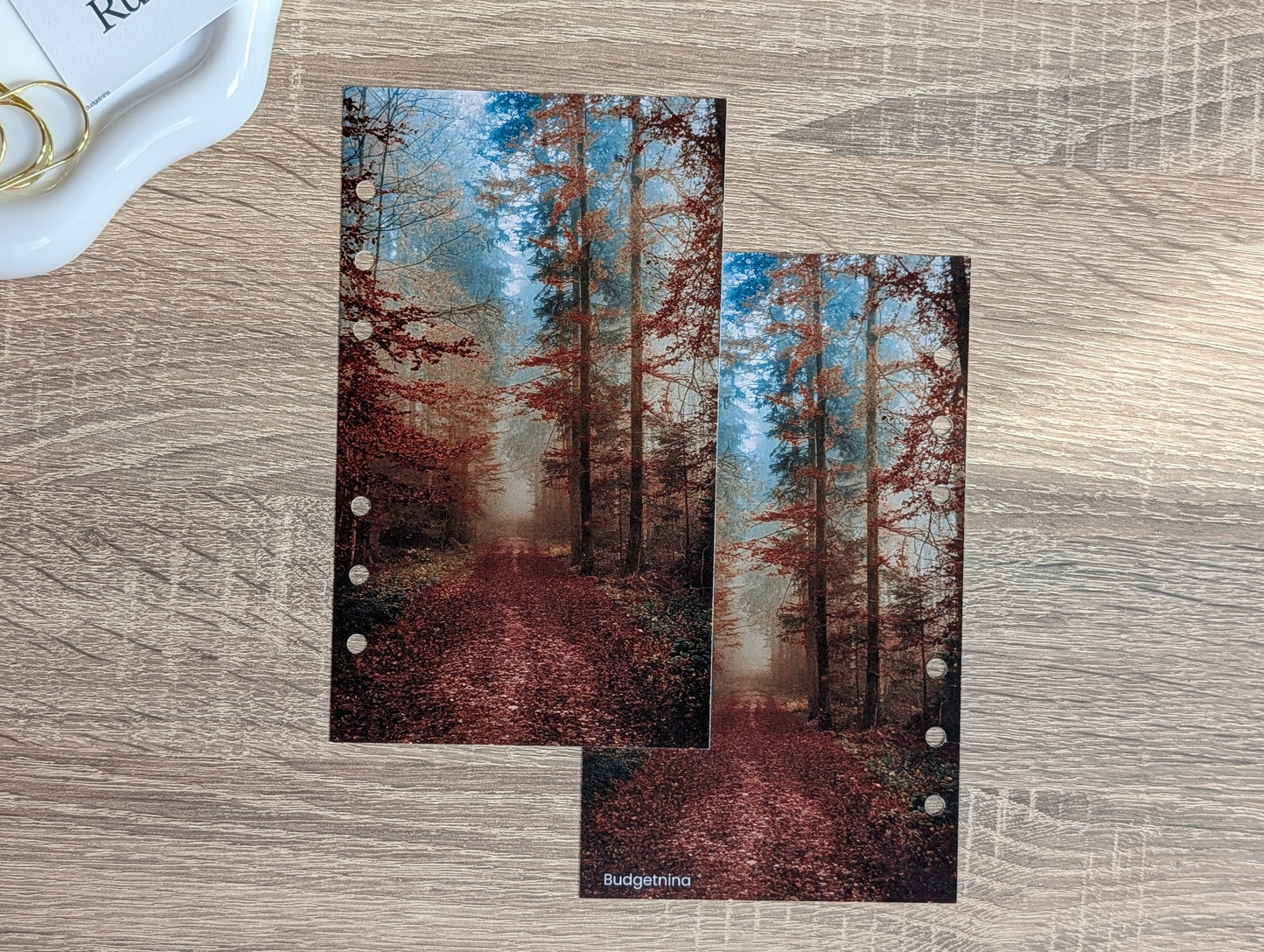 Deckblatt Wald