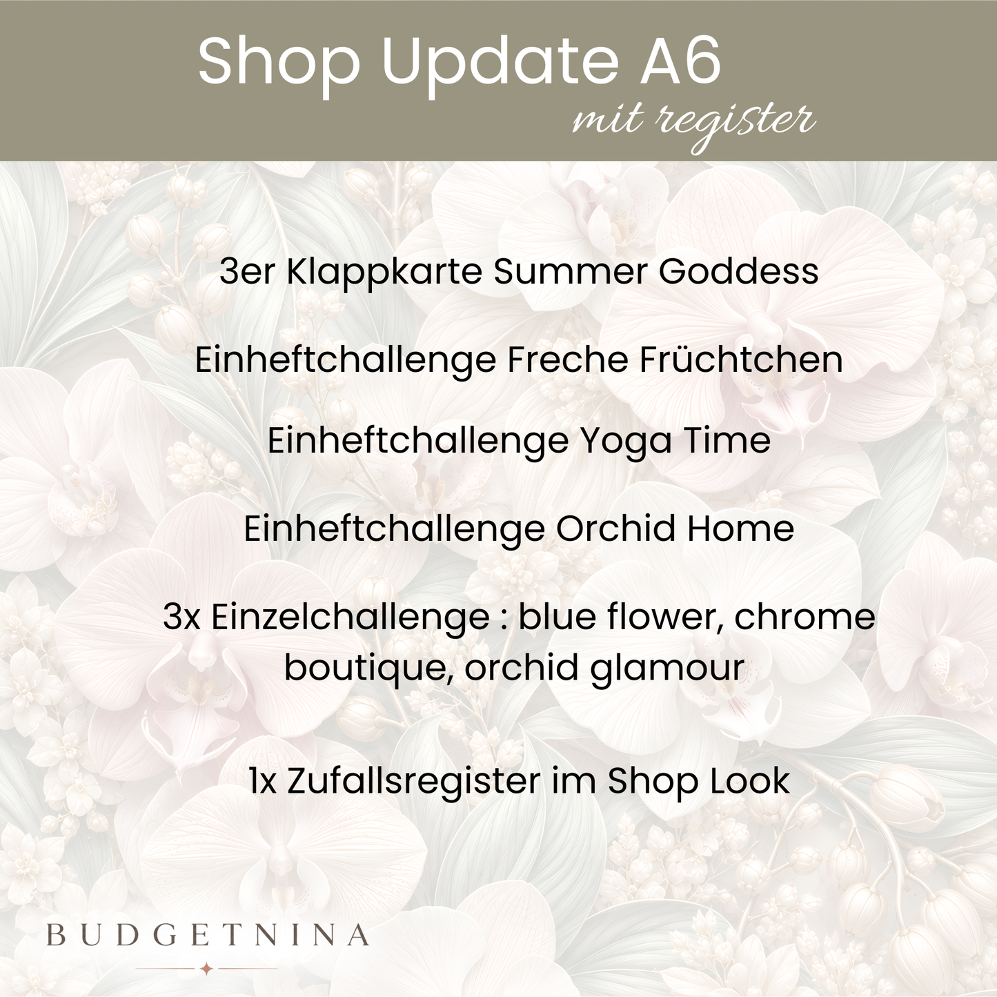 Shop Update A6 MIT  Register