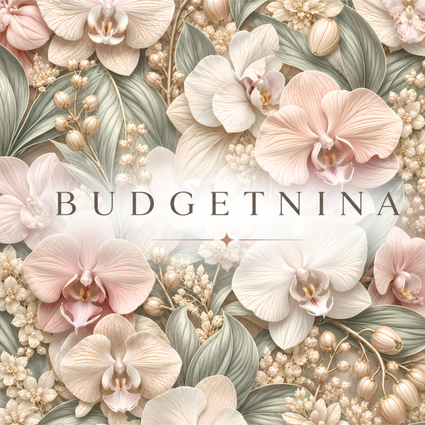 Budgetnina