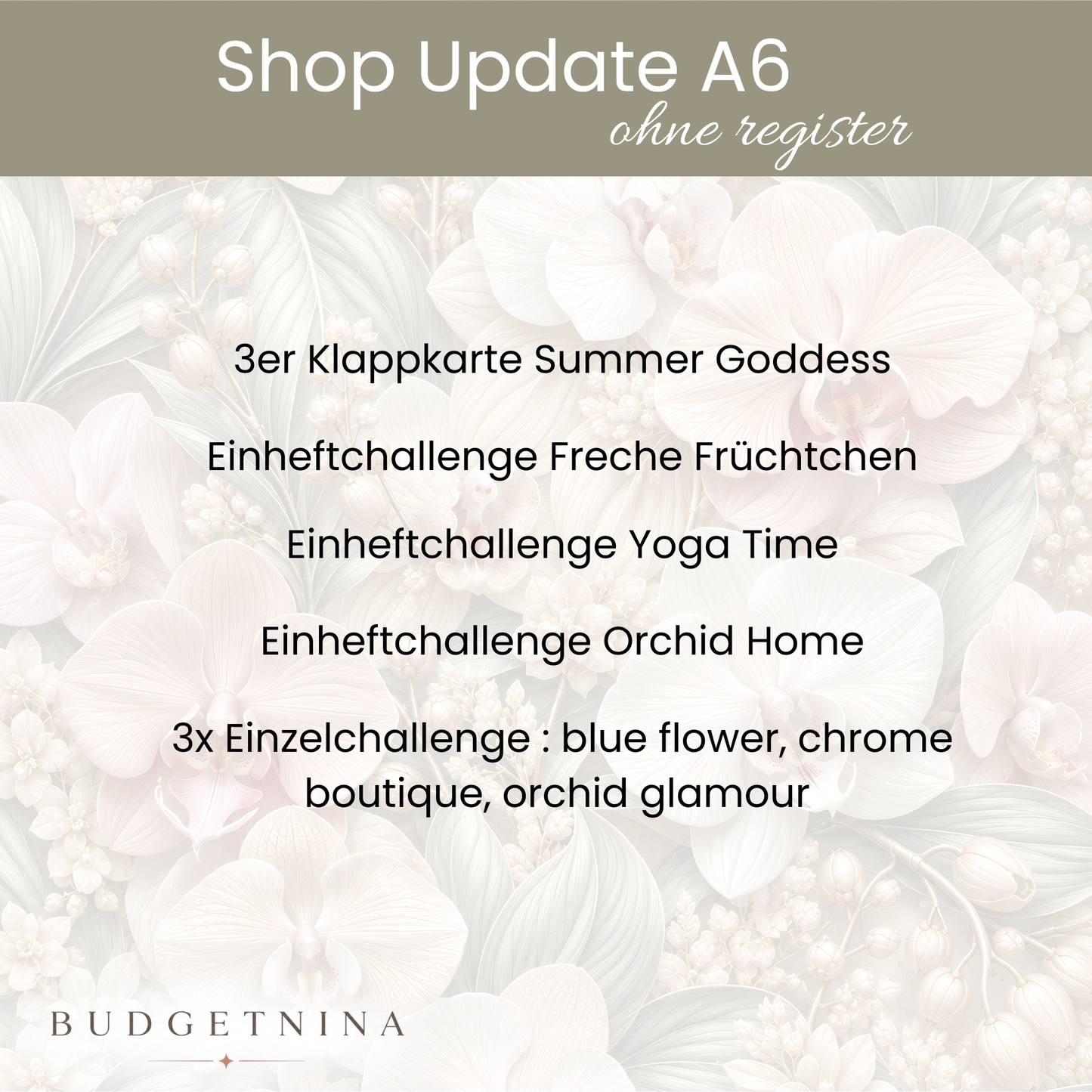 Shop Update A6 ohne Register